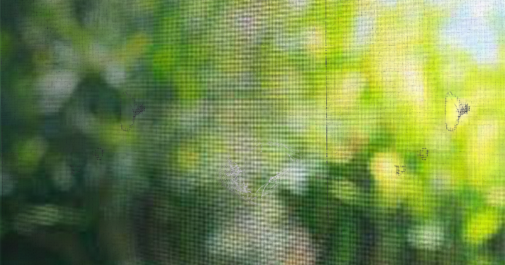 5 Things to Know Before Repairing Your Window Screen - RiteScreen Shop