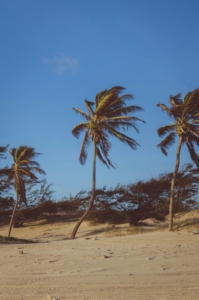 Custom Screens protect against storm damage, especially damage caused by wind and debris. Ideal for weatherproofing your home with window screens!